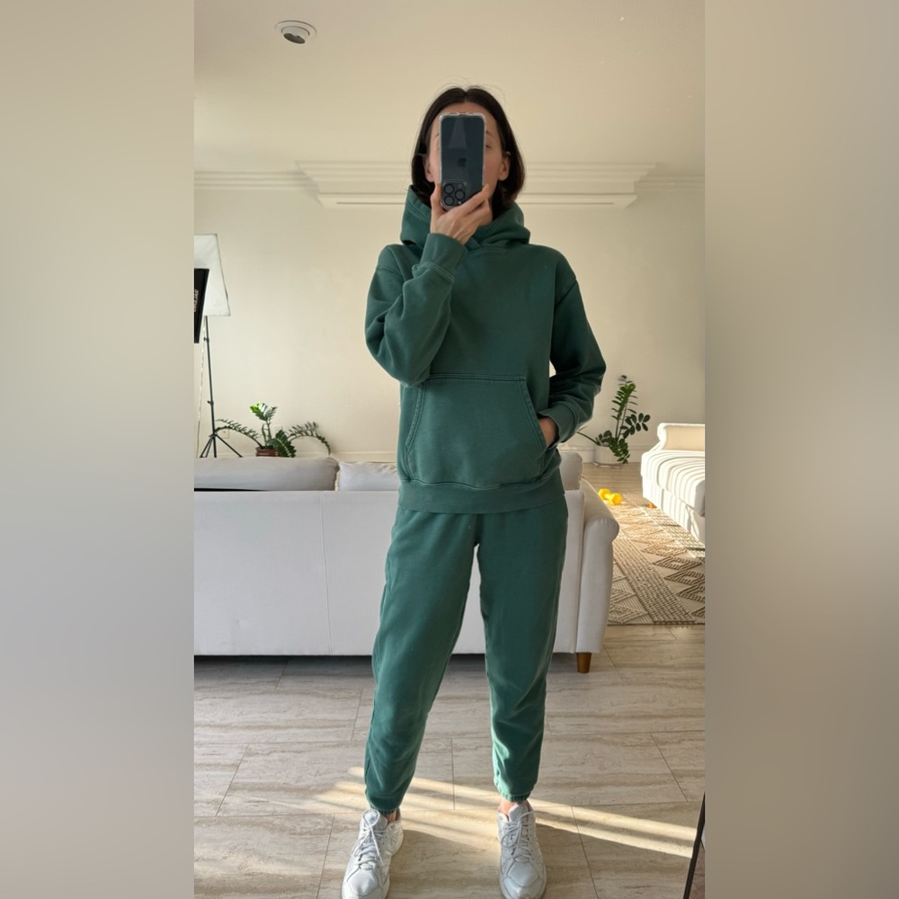Aritzia Perfect Fit Fleece hoodie